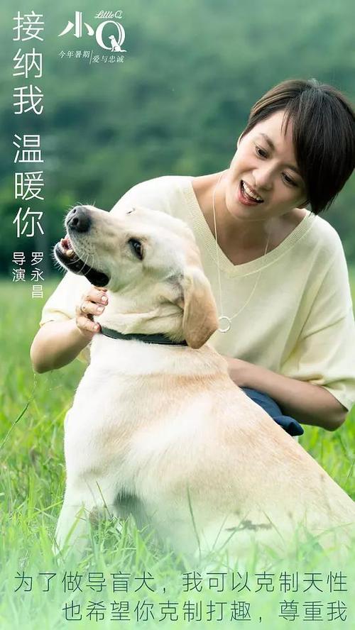 旧房产证更换不动产证